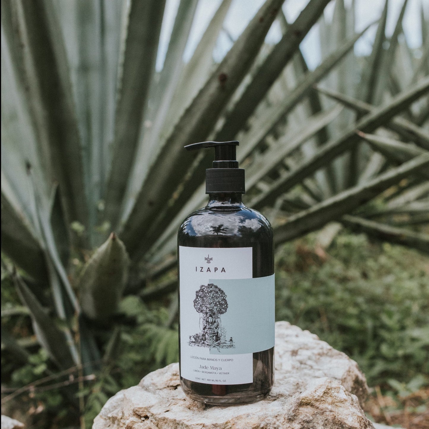 Hand and Body Lotion
